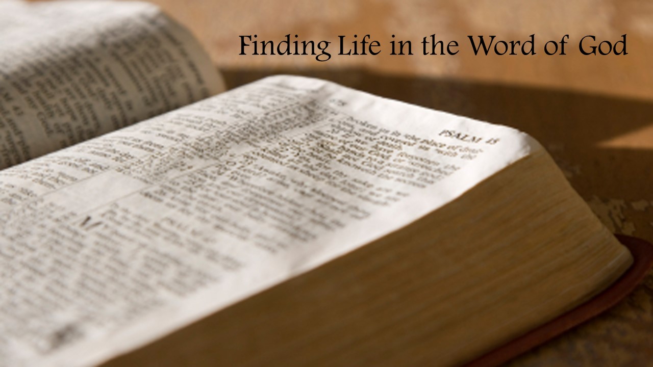 Finding Life in the Word of God