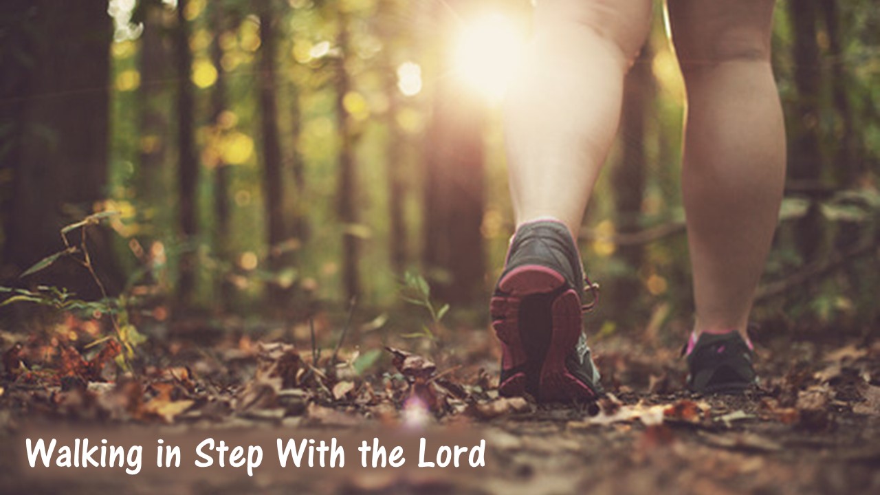 Walking in Step With the Lord