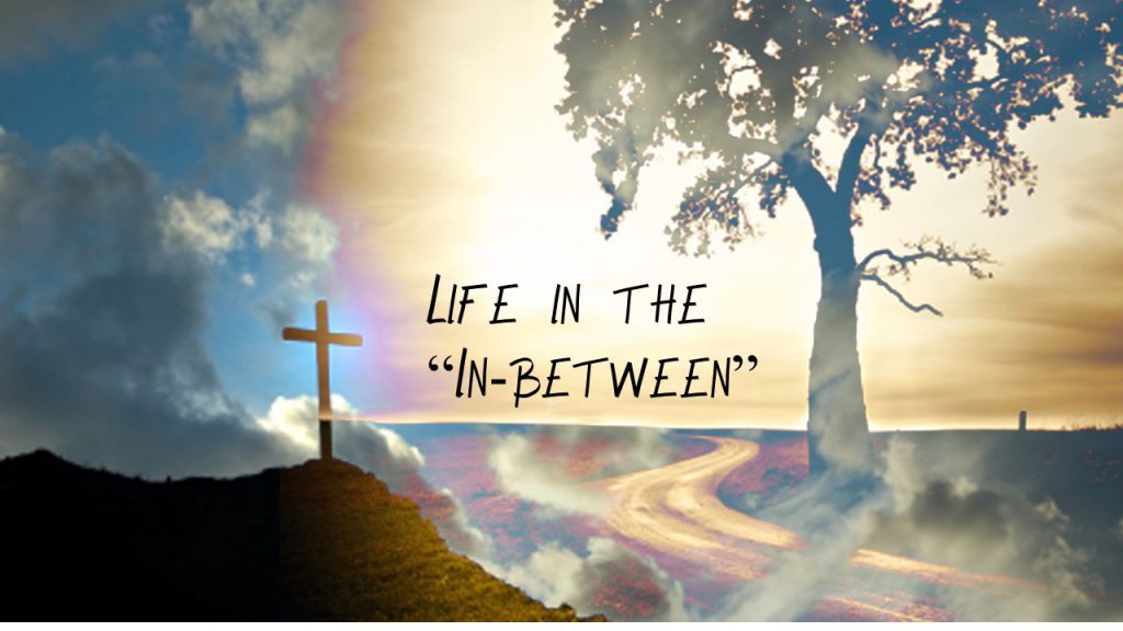 Life in the In-Between