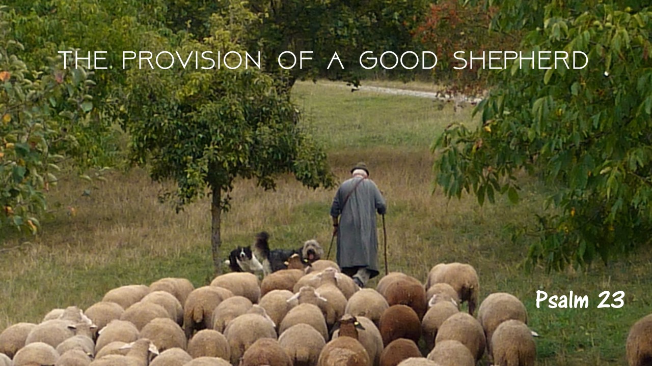 The Provision of a Good Shepherd