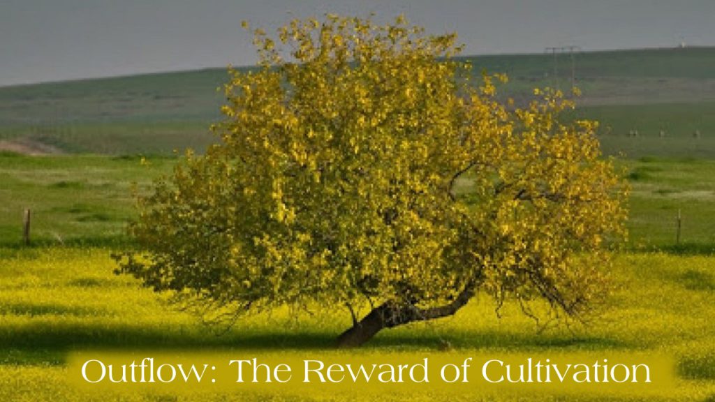 Outflow: The Reward of Cultivation