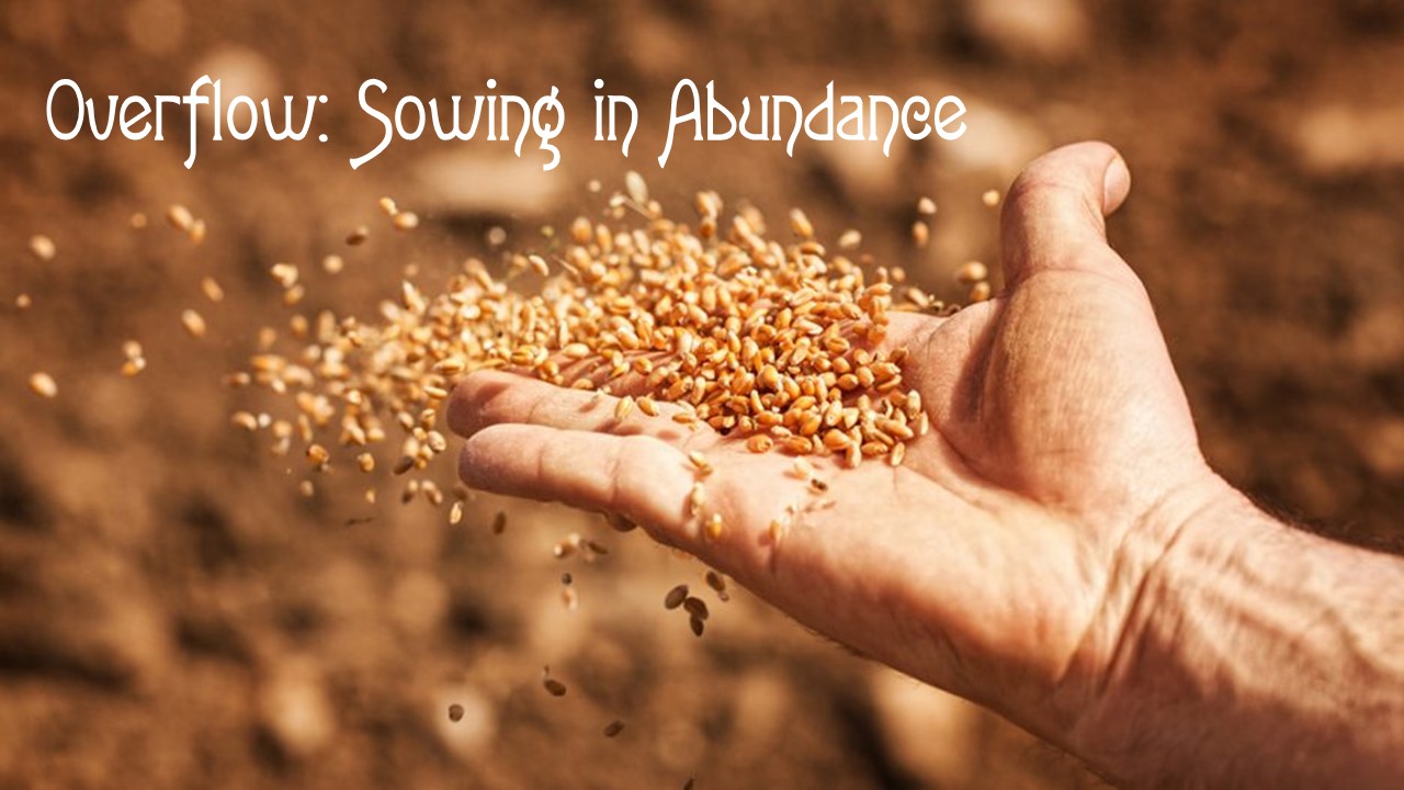 Outflow: Sowing in Abundance