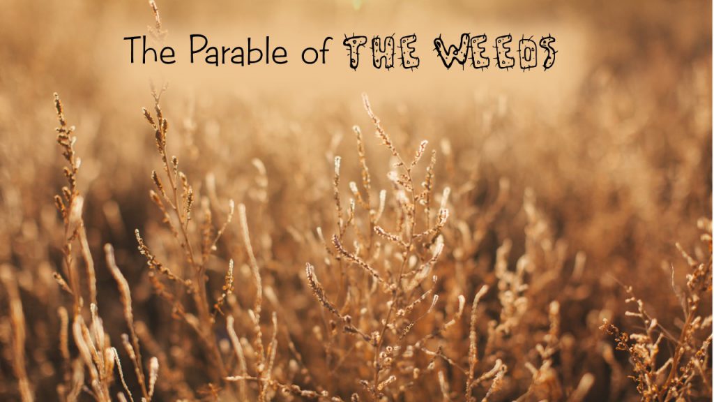 The Parable of the Weeds