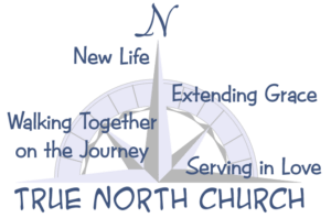 True North half compass logo