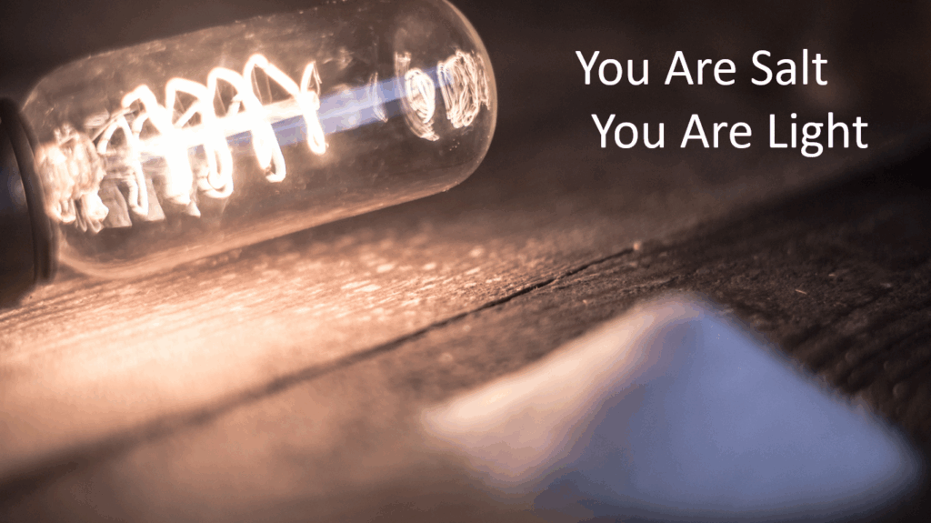 The Sermon on the Mount: You Are Salt. You Are Light.