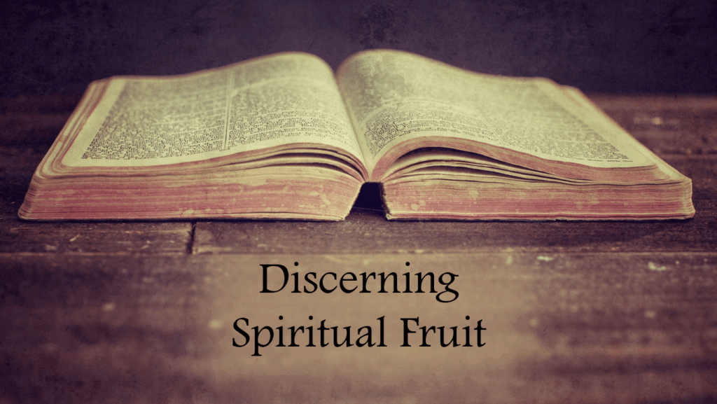 The Sermon on the Mount : Discerning Spiritual Fruit