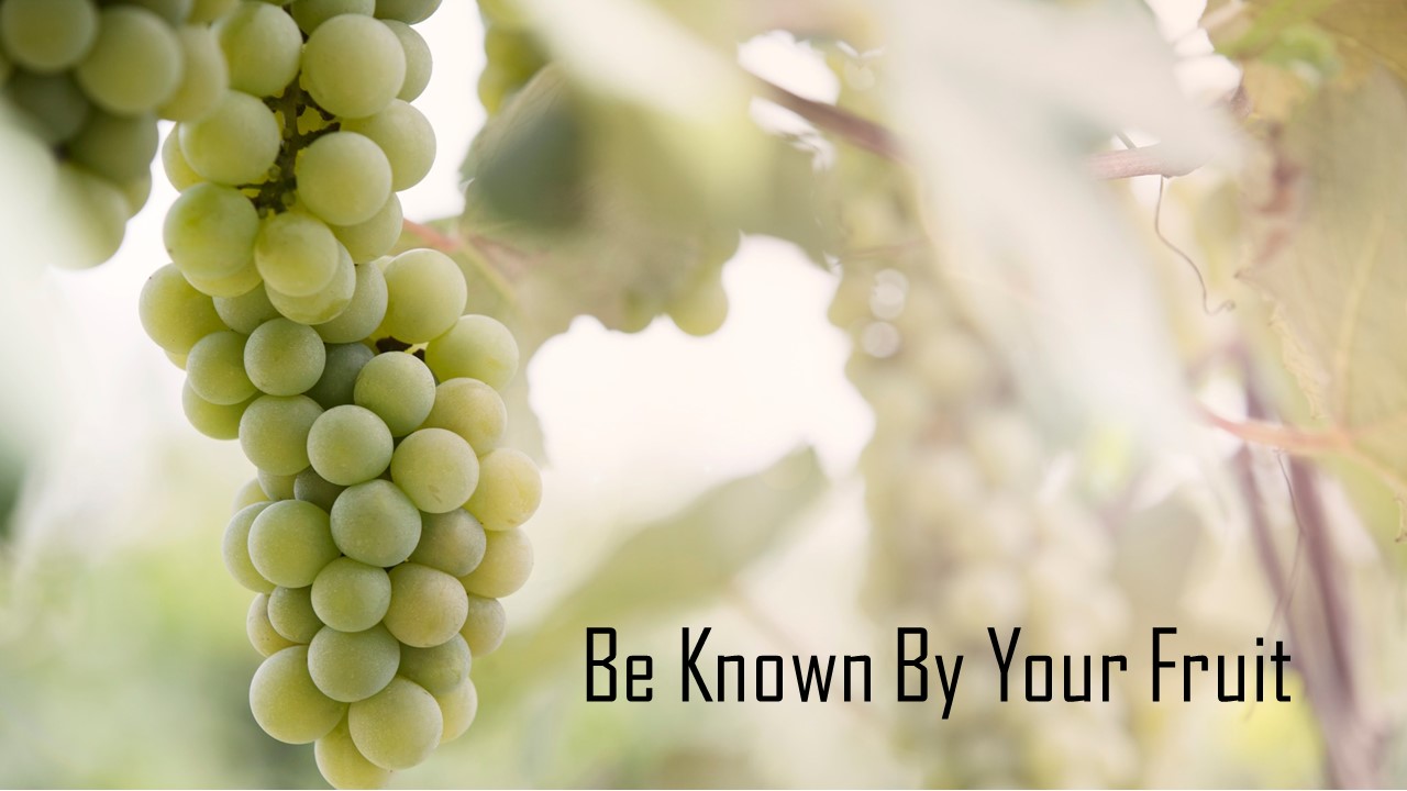 Be Known By Your Fruit
