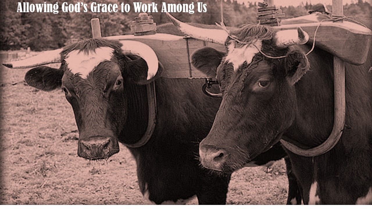 Allowing God’s Grace to Work Among Us